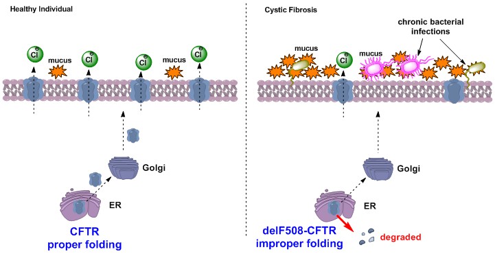 CF